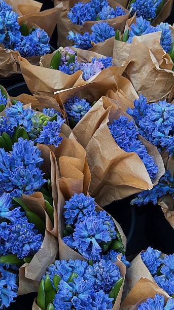 Blue Hyacinth Flower Bouquets Wrapped in Kraft Paper at Market Stall