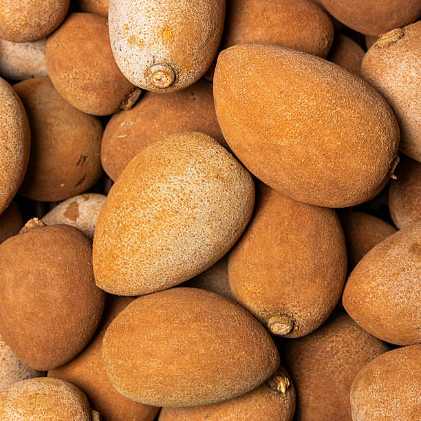 810+ Mamey Fruit Stock Photos and Royalty-Free Pictures - iStock