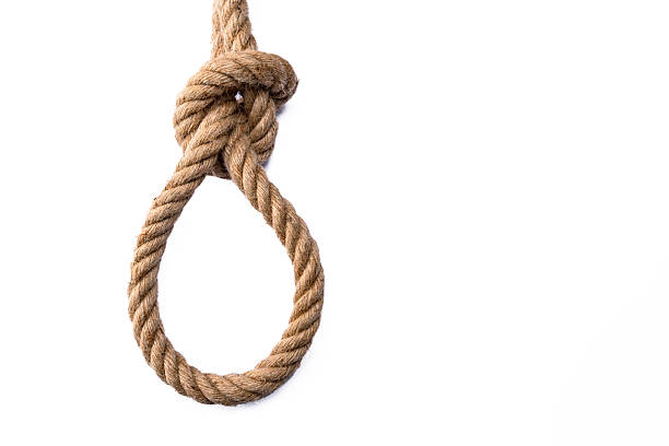 Thick rope on white background