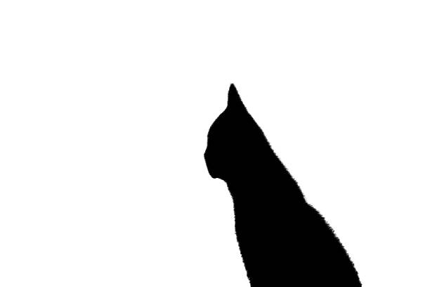 Minimalist Black Cat Silhouette Profile Isolated on White