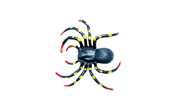Realistic Black Plastic Spider Toy for Halloween and Pranks