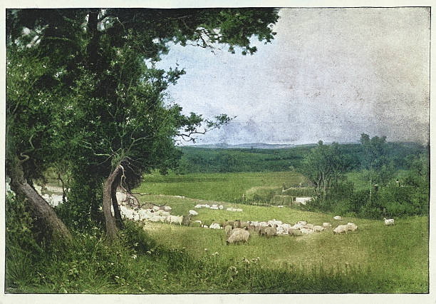 Rural landscape flock of sheep grazing in a meadow, The Golden Valley by Alfred East, Victorian art, 19th Century