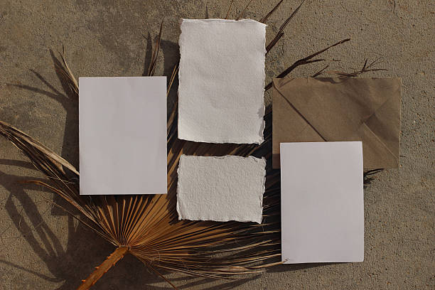 Blank Cards, Envelope Mockups on Concrete Surface. Dried Palm Leaf in Sunlight. Handmade Paper, Neutral Boho Stationery Flat Lay, Top view. Minimal Branding Template. Summer Invitation, Wedding Suite.
