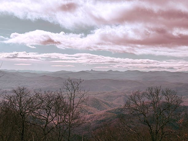Bare branches of winter in the foreground, and Smoky Mountains Vista as far as anyone can see. Cloud Scape Putting on a New Year's Eve show. Vintage pink tones. Blowing Rock NC 2025