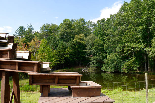 A spill channel powered by a lake side water mill. Flat Rock, NC 2025