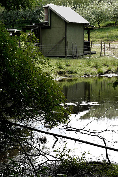 A small water-powered mill sits lakeside in the North Carolina mountains. Unsaturated. 2025