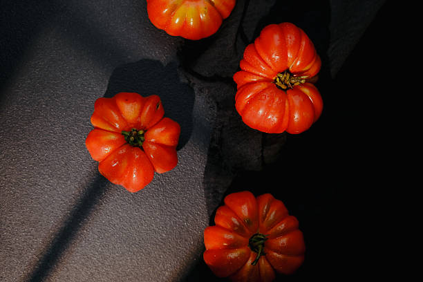 Four ripe red heirloom tomatoes with water droplets on a dark textured surface with shadow