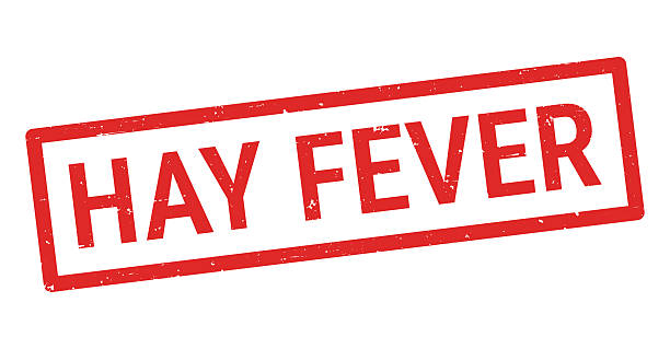 Hay Fever. Grunge rubber stamp for your own design, isolated on a blank background. The stamp consists of text and a frame in red ink. Vector Illustration (EPS file, well layered and grouped). Easy to edit, manipulate, resize or colorize. Vector and Jpeg file of different sizes.