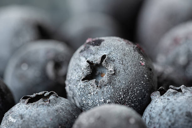 Macro close-up of frozen blueberries covered in frost crystals