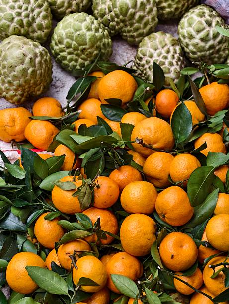 Fresh mandarins with green leaves and green sugar apples