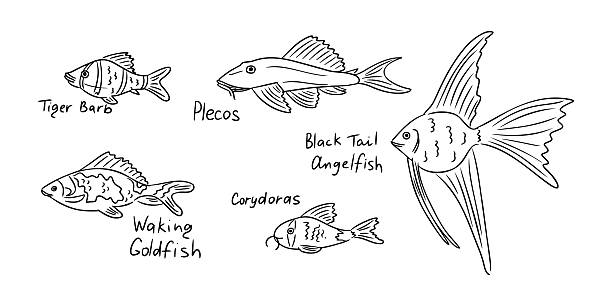 Illustration of various freshwater fish species including Tiger Barb, Plecos, Black Tail Angelfish, Waking Goldfish, and Corydoras with labeled names