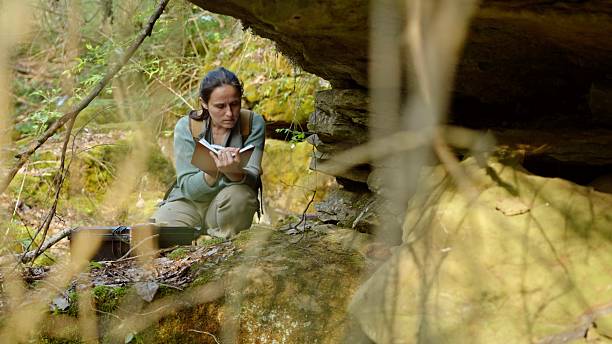 Woman explorer searching for evidence of ancient civilizations in rainforest region. She explores petroglyphs in ancient rock dwellings & analysing drawings.
