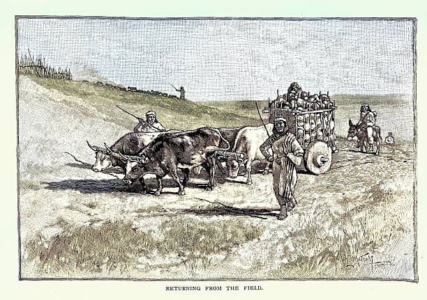 Returning from the field, Zuni are Native American Pueblo peoples native to the Zuni River valley, Victorian, 19th Century