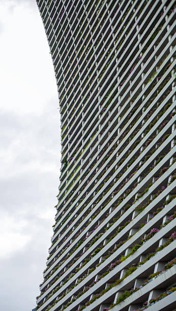 Singapore  buildings landscape