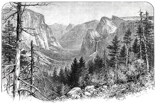 Illustration from 19th century
