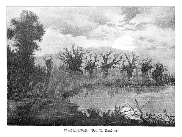 Authentic 19th-century black and white engraving titled 'Mondlandschaft' (Moon Landscape) by R. Raudner. The scene depicts a tranquil nocturnal landscape with a full moon low on the horizon, its light reflecting on the calm surface of a lake or river. Silhouetted trees and reeds line the banks, creating a serene and atmospheric view.