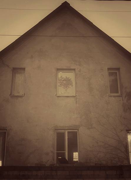 Old house with cat, Dilapidated home featuring cat at window, Worn structure with cat gazing through central window, Timeworn residence showcasing feline peering out from its main window