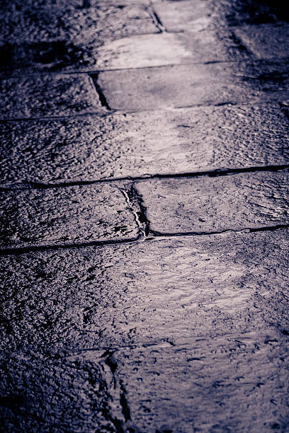 Dark wet cobblestone pavement showing patterns and texture. Rain reflections creating a moody street background