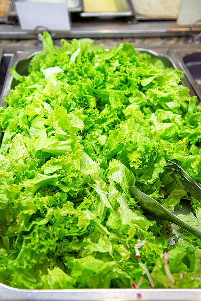 Fresh Lettuce Salad Buffet Dominican Republic