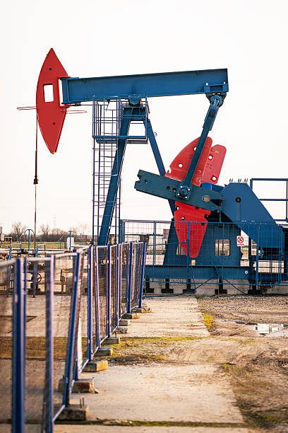 Operating oil pumpjack extracting crude oil under clear daylight conditions. Industrial scene representing petroleum production, energy resources, and the global oil industry. Suitable for themes of energy infrastructure, fossil fuels, and industrial activity.