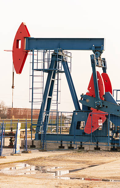 Operating oil pumpjack extracting crude oil under clear daylight conditions. Industrial scene representing petroleum production, energy resources, and the global oil industry. Suitable for themes of energy infrastructure, fossil fuels, and industrial activity.