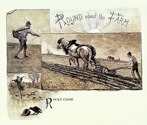 History agriculture, Farming, farmer sowing seeds, ploughing field, scarecrow, Vintage illustration, Victorian 19th Century 1880s