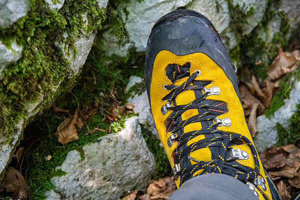 Hiking boot trekking on mossy rocks outdoors