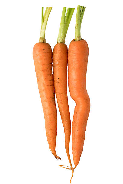 Fresh baby carrots isolated on white background with clipping path, high-resolution image showing vibrant color and natural texture