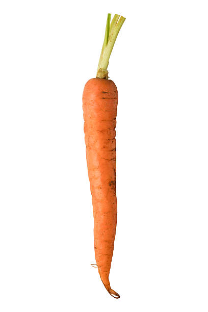 Fresh baby carrot isolated on white background with clipping path, high-resolution image showing vibrant color and natural texture