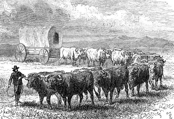 Illustration from 19th century.