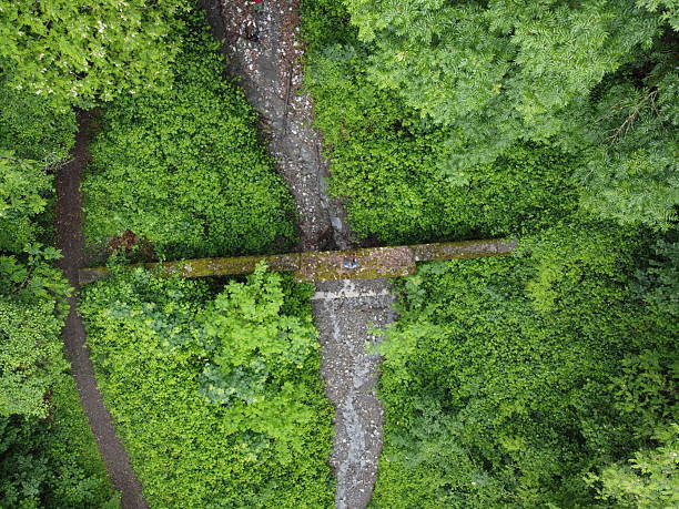 A drone perspective captures ancient stone ruins perched dramatically on the edge of a steep rocky cliff, overlooking a sprawling valley and nearby town.Surrounded by dense greenery, the structure contrasts with the rugged limestone face, highlighting both its strategic location and historical character.drone, aerial, ruins, cliff, fortress, castle, limestone, mountain, valley, landscape, history, architecture, scenic, high angle, nature, heritage, old structure, travel, europe, overlookTop-Down Aerial View of Forest Path and Small BridgeA vertical drone shot captures a narrow footbridge crossing a rocky stream, surrounded by dense, vibrant green forest.The geometric composition of paths and foliage contrasts with the organic textures of vegetation, while a small human figure adds scale to the scene.
