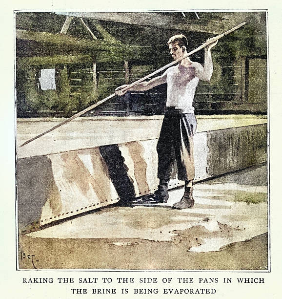 History of salt production in Cheshire, Man raking salt in pans, with the brine being evaporated Vintage illustration, Victorian 19th Century 1890s