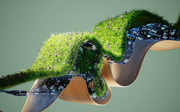 AI as regenerative, ethical, transparent, and integrated with nature