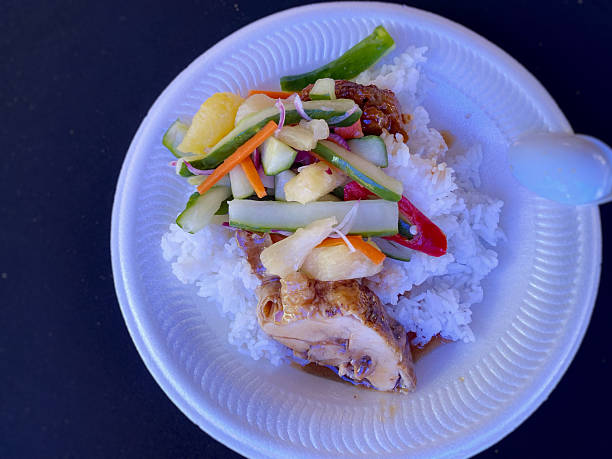 Rice Steamed Chicken Acar Ayam Masak Merah Malaysian Food