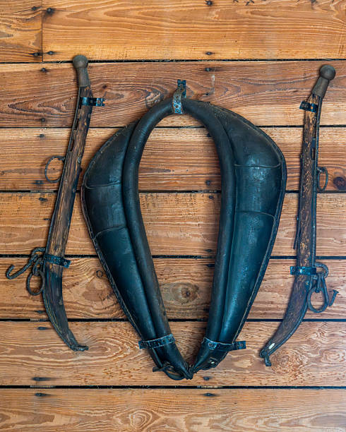 Workhorse yoke and harnesses are displayed on a wooden wall.