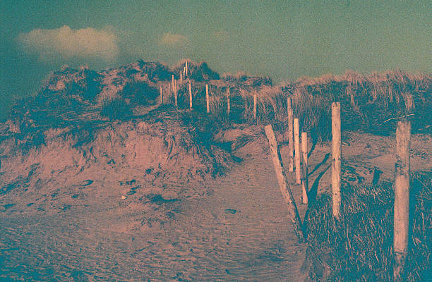 Broken fence posts in sand dunes, damaged by high tides, Westward Ho!, Devon, Lomography redscale 35mm film