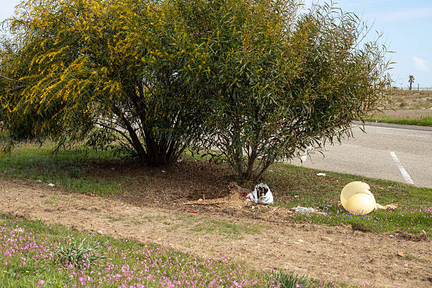 Litter and trash scattered under a blooming bush beside a road