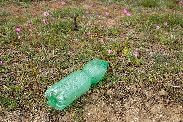 Green plastic bottle polluting natural environment with grass and flowers