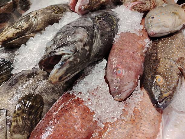 Fresh raw fish in the market