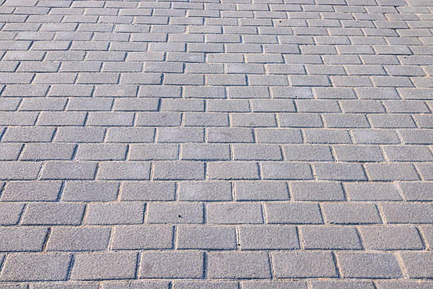 paving stones for the walking area
