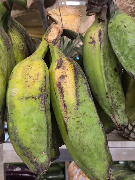 Fresh Green Plantains in a Hanging Display