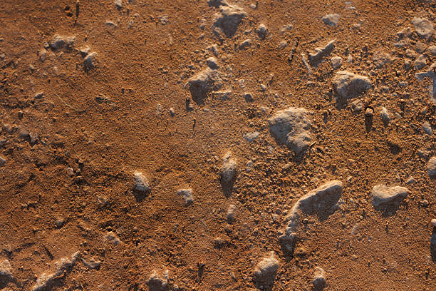 Arid and Rocky Ground Texture With Ochre Tones