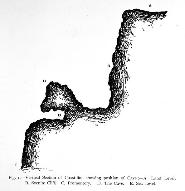 A. Land Level: The top surface or plateau of the coastal land before it drops off into the cliff.B. Syenite Cliff: A high, steep rock face made of syenite (a type of coarse-grained intrusive igneous rock similar to granite). This is a primary erosional feature where the land meets the sea.C. Promontory: A prominent mass of land that juts out into the body of water. Promontories are often formed when harder rock resists erosion more effectively than the surrounding areas.D. The Cave: A hollowed-out area in the cliff or promontory. Sea caves typically form along headlands where wave action exploits cracks or weaker joints in the rock through processes like hydraulic action and abrasion.E. Sea Level: The base level of the ocean where the water meets the landforms.