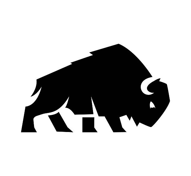 Bison Bull Buffalo Angus Logo, Buffalo Breeders Vector Illustration.