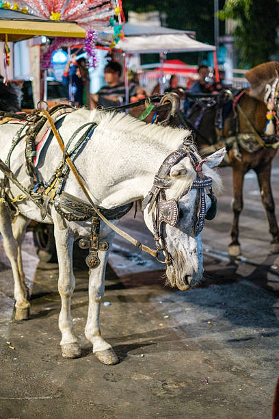 White horse stands under market lights. Harnesses and ropes secure its burden. Dusk shadows fall on dusty ground. Other animals wait nearby. Nighttime market buzzes softly