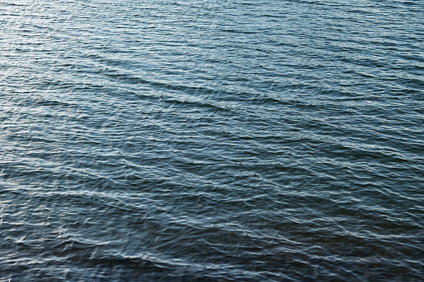 A high-resolution, top-down perspective capturing the rhythmic The deep teal and blue tones of the water create a soothing, natural texture, reflecting the soft ambient light. making it ideal for backgrounds, nature-themed designs, or concepts related to tranquility, fluidity, and the pristine environment of a freshwater sanctuary