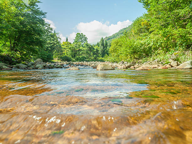 A serene and refreshing shot of an exceptionally clear mountain river in Akita, Japan. Captured from a low-angle waterline perspective, the image highlights the pristine transparency of the water, revealing moss-covered rocks beneath the surface and lush greenery in the background. It represents purity, environmental protection, and the tranquil beauty of the Japanese countryside.