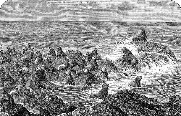 Illustration from 19th century.