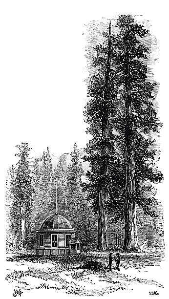 Illustration from 19th century.