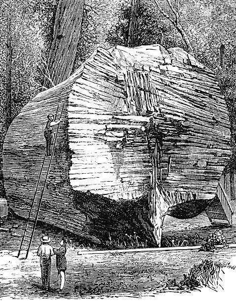 Illustration from 19th century